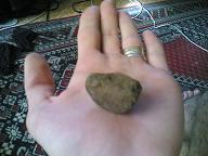 ����� ����