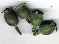 ������� �����!