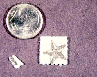bigblotter & coin