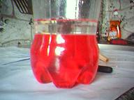 ���� ����� �����������