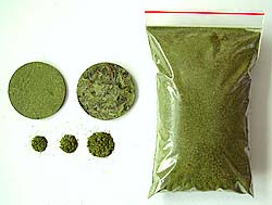 Powdered and tableted drug product from leaves parts Leuzea carthamoides; Photo Nikolay Timofeev (12k)