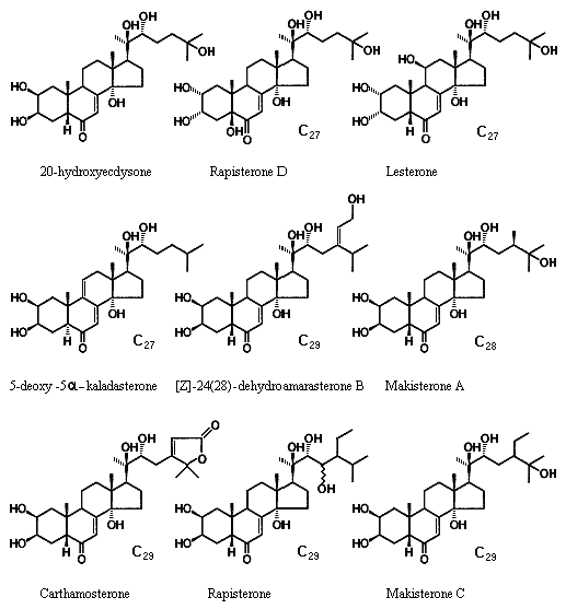 Ecdysteroids of Leuzea (Rhaponticum carthamoides) (46k);
   Figure Nikolay Timofeev